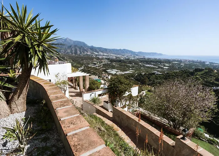 Rural Camelia Willa *